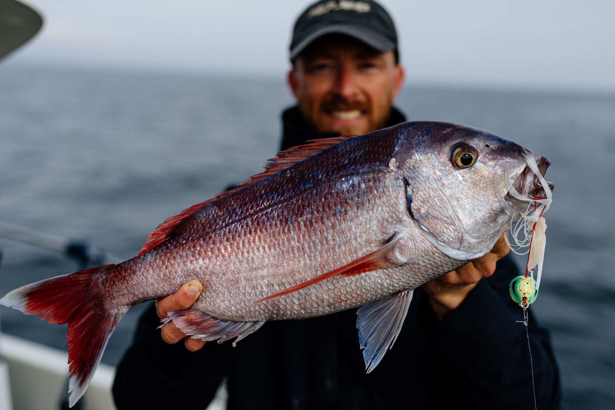 A Couch's Bream caught using the Fish Nugz Kraken Kabura Jig