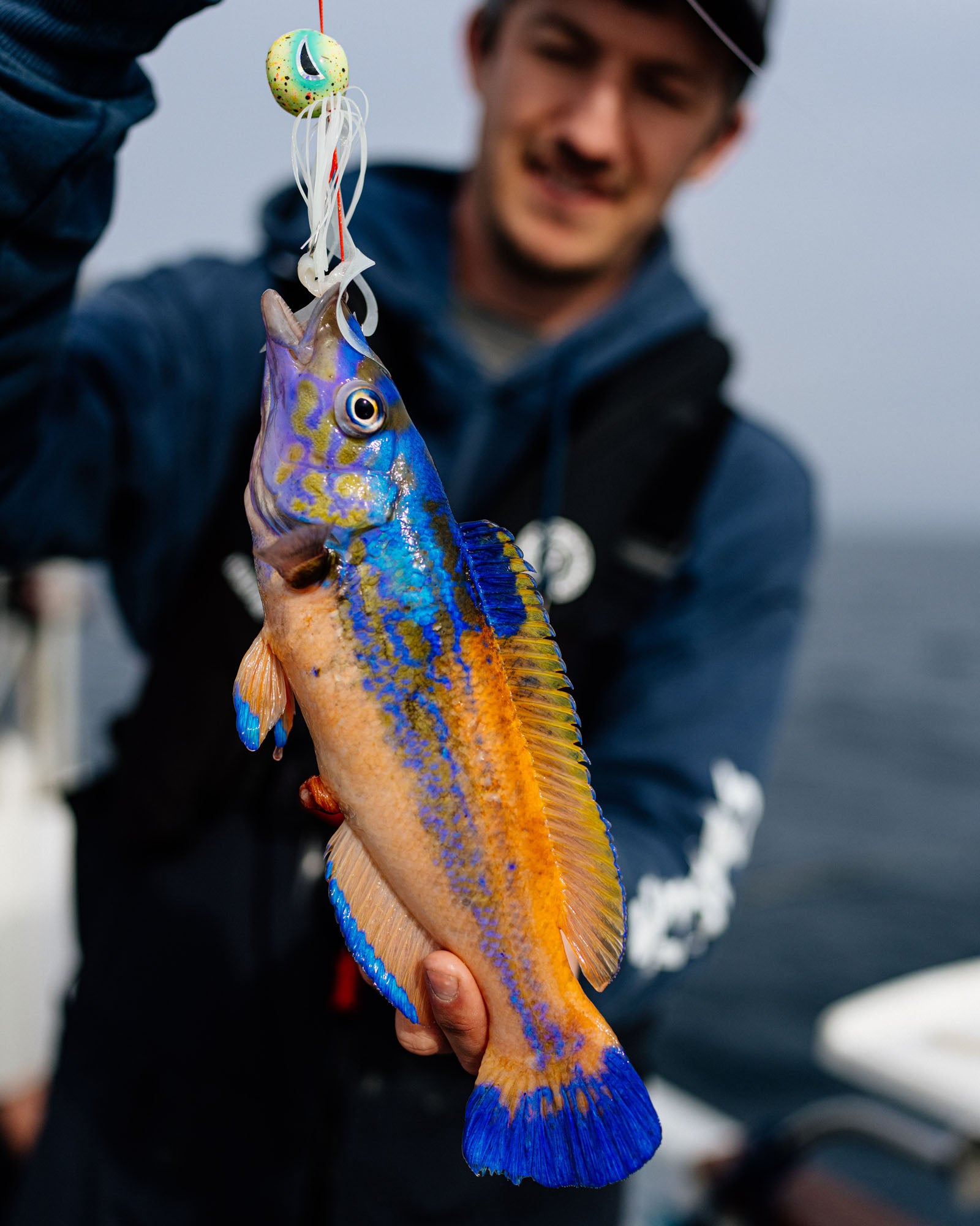 Cuckoo Wrasse caught using a Fish Nugz Kraken Kabura Jig