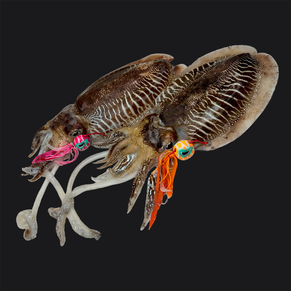 Fish Nugz Kraken Kabura Jig with Cuttlefish Comparison