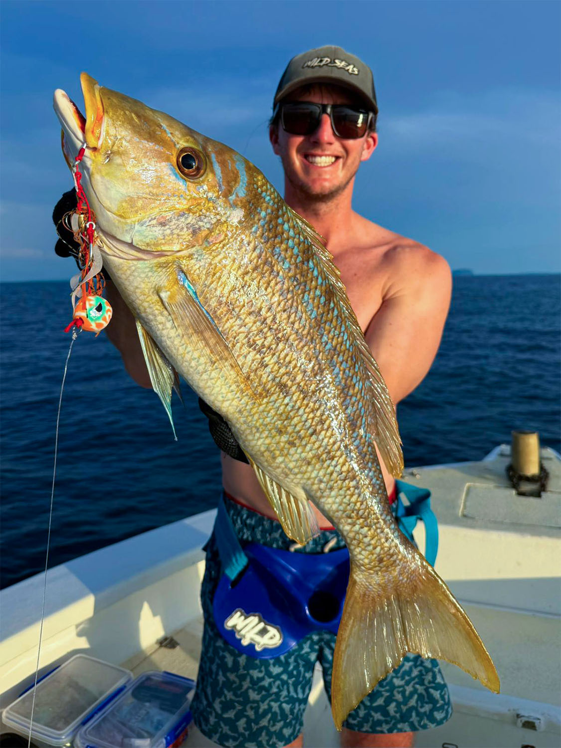 A Spangled Emperor fish caught using a Fish Nugz Kraken Kabura jig in Madagascar