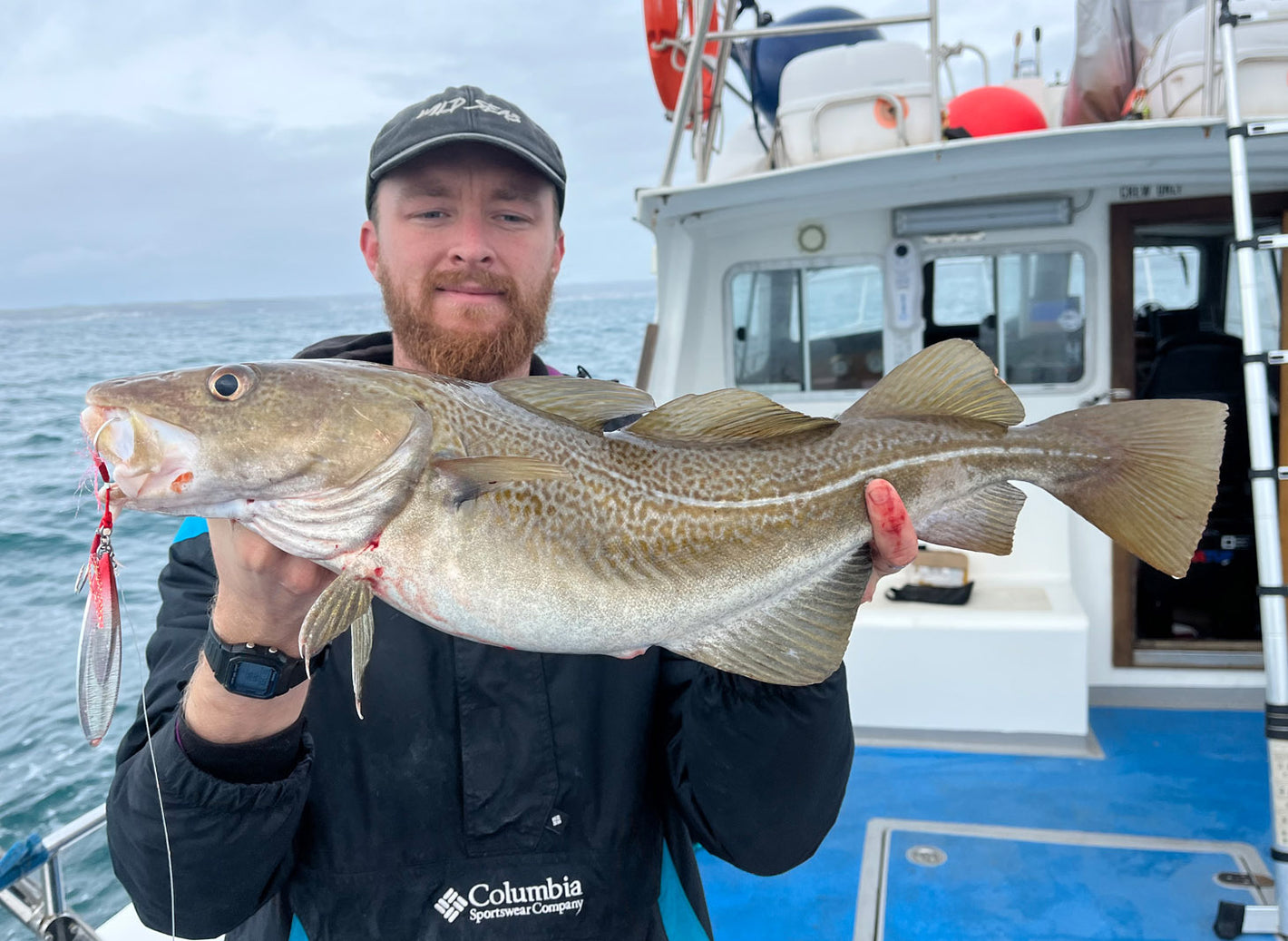 A Cod caught on the Fish Nugz Poseidons Kiss Slow Jig