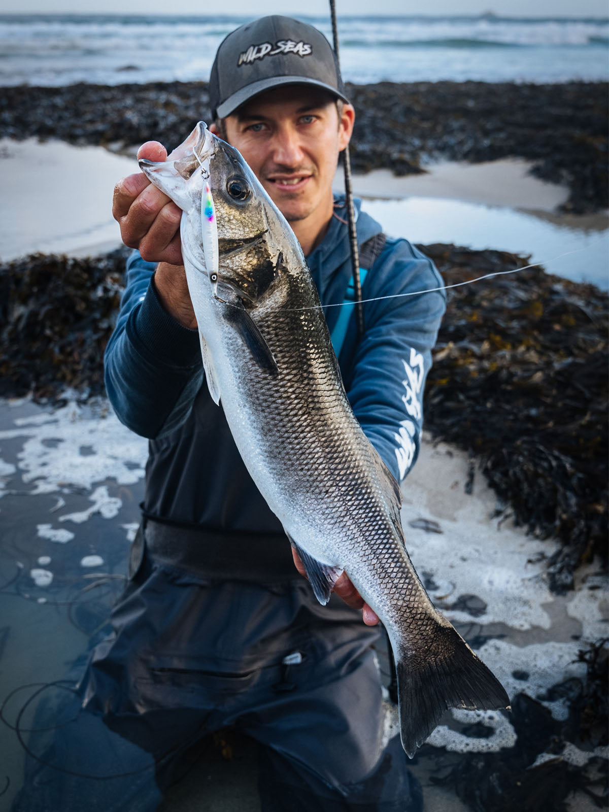A Seabass caught using the Fish Nugz Slayer Cast Jig from a surf beach