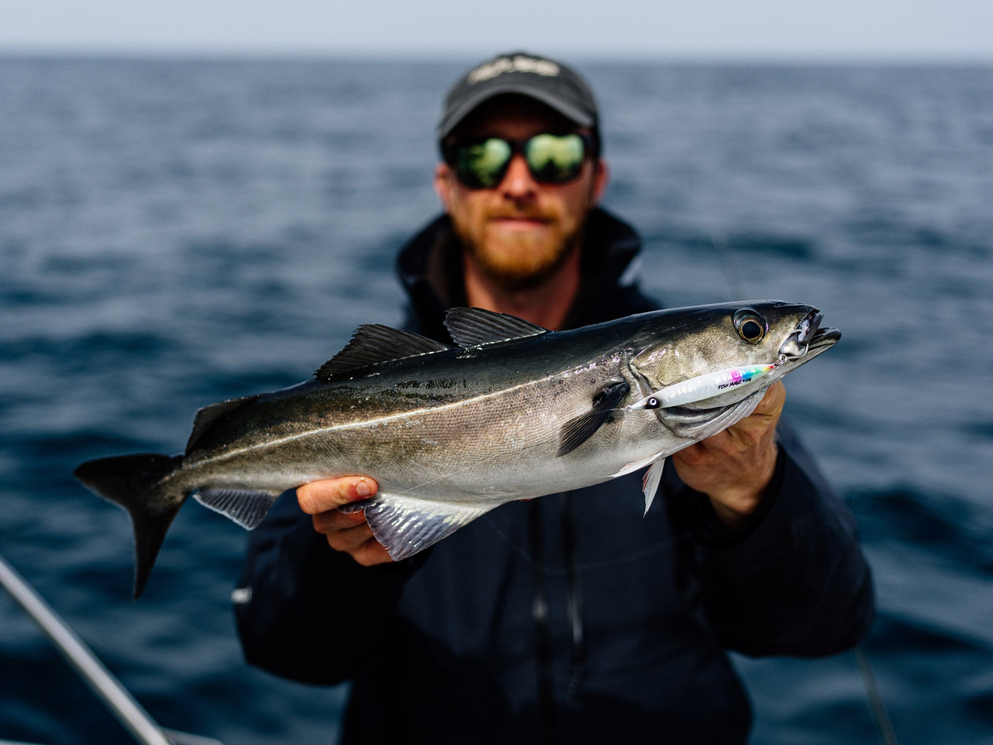 A Coalfish caught using the Slayer Cast Jig from Fish Nugz