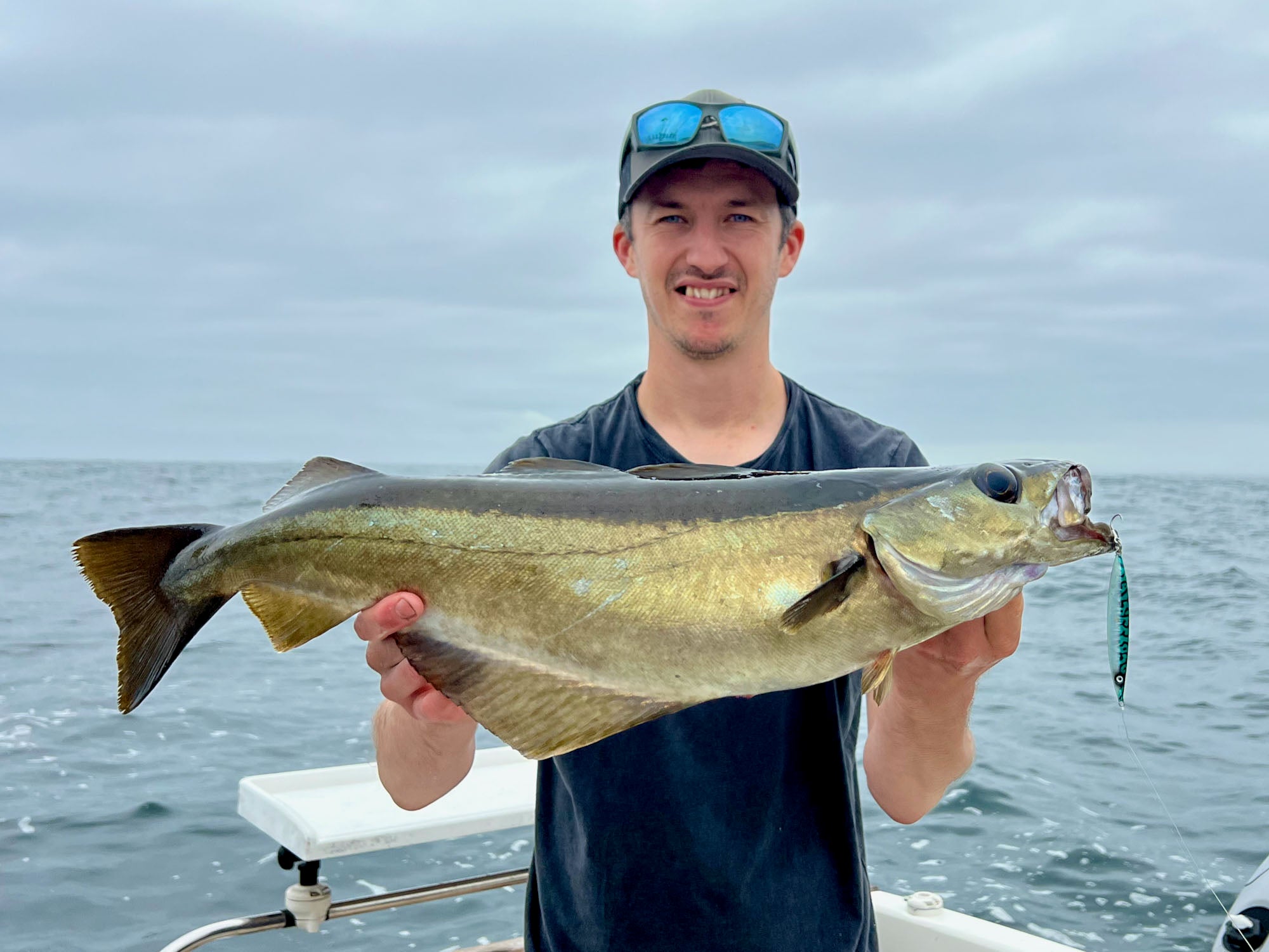A large Pollack caught boat fishing using a Slayer Cast Jig from Wild Seas