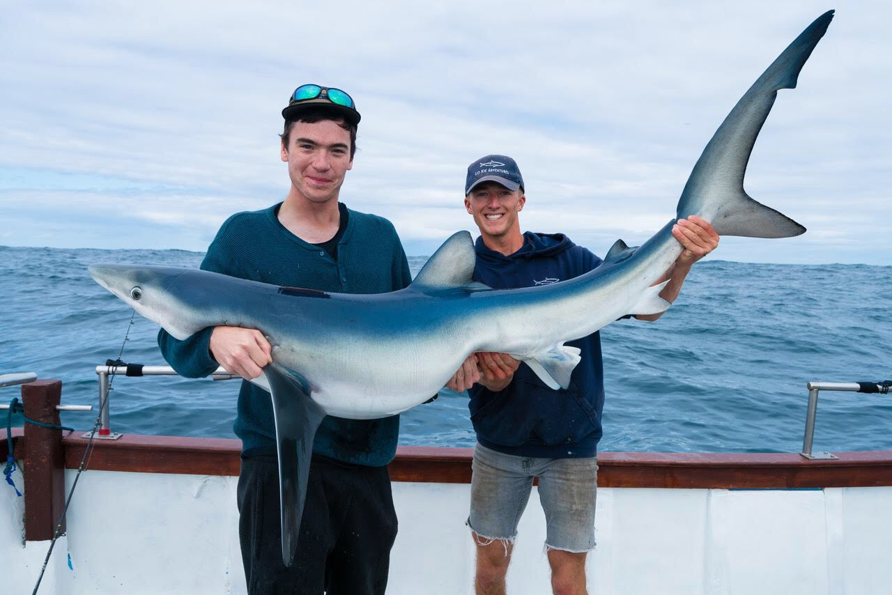 Kieren and Carl with a Blue Shark caught fishing