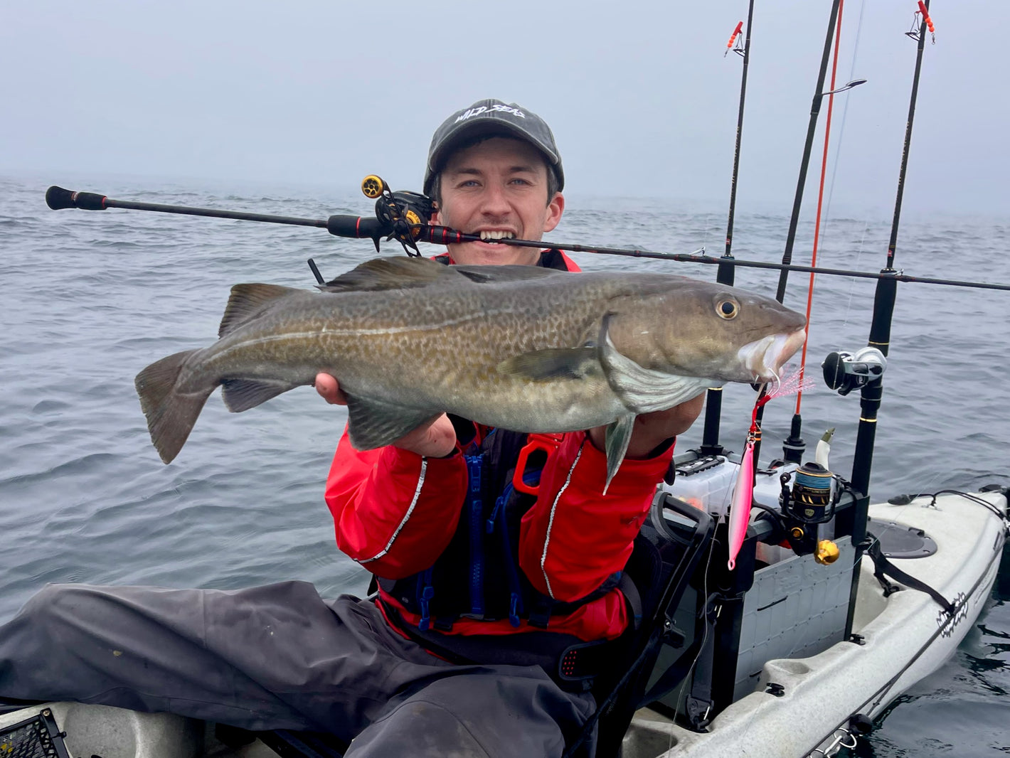Cod caught using a Fish Nugz Clam Slammer slow jig