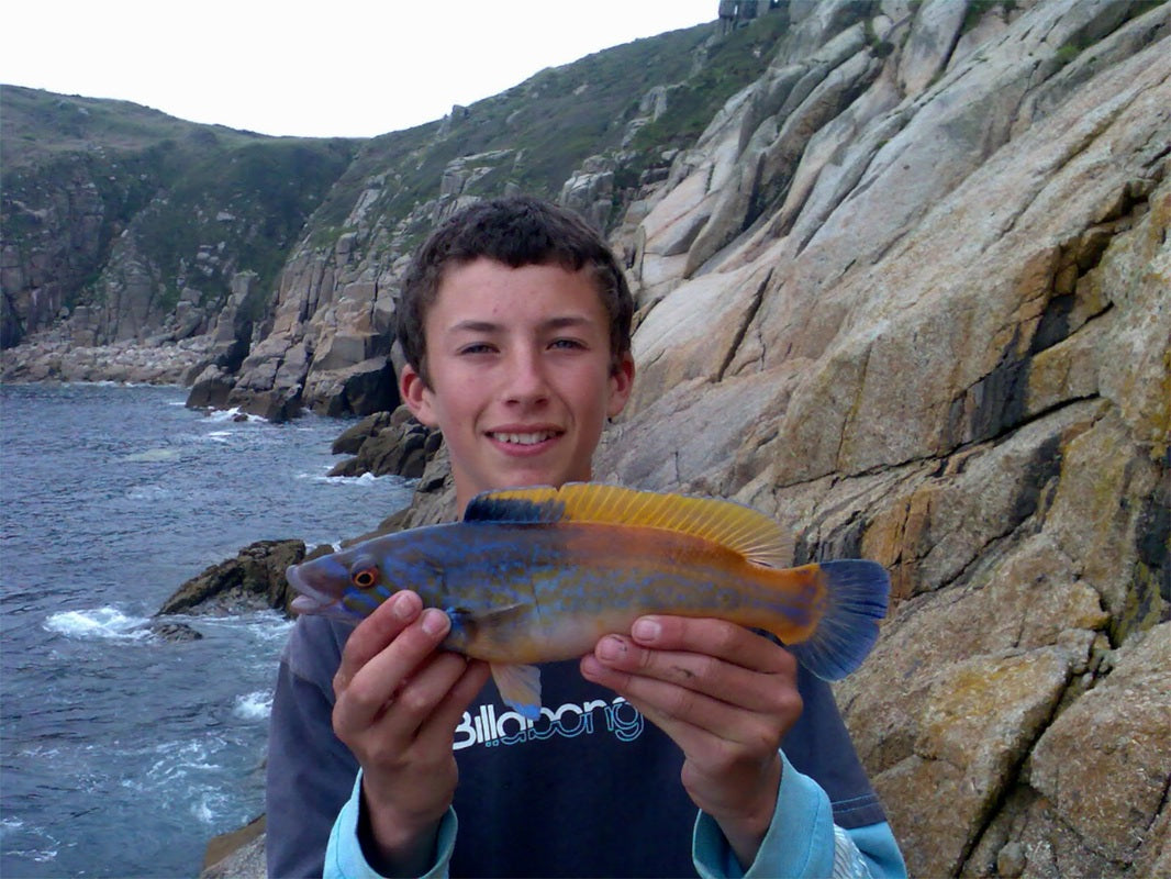 Liam with a Cuckoo Wrasse caught shore fishing in Cornwall