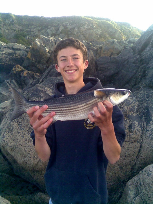 Liam with a Mullet caught from the rocks in Cornwall