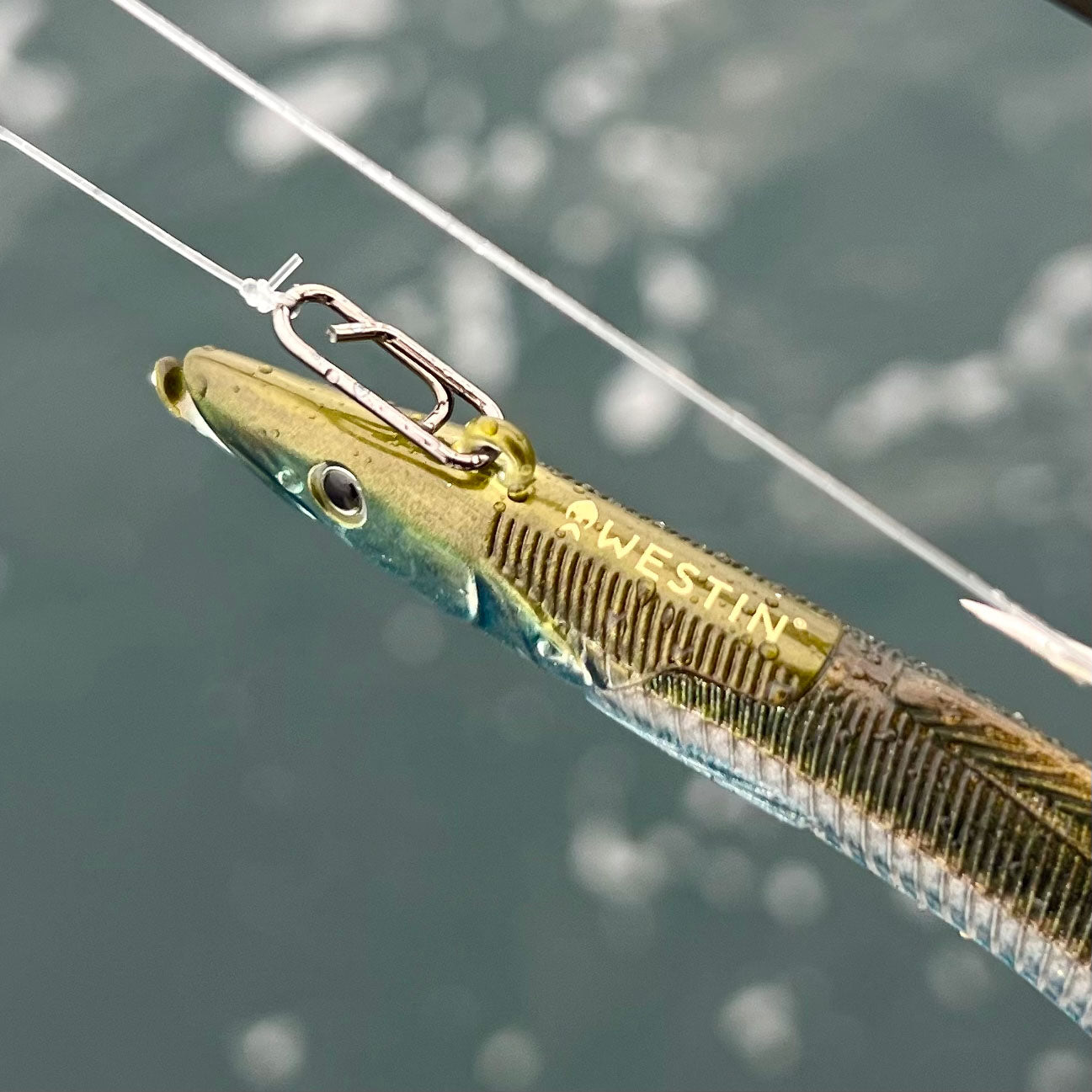 Wild Seas Quick Change Lure Clip used with a soft plastic lure