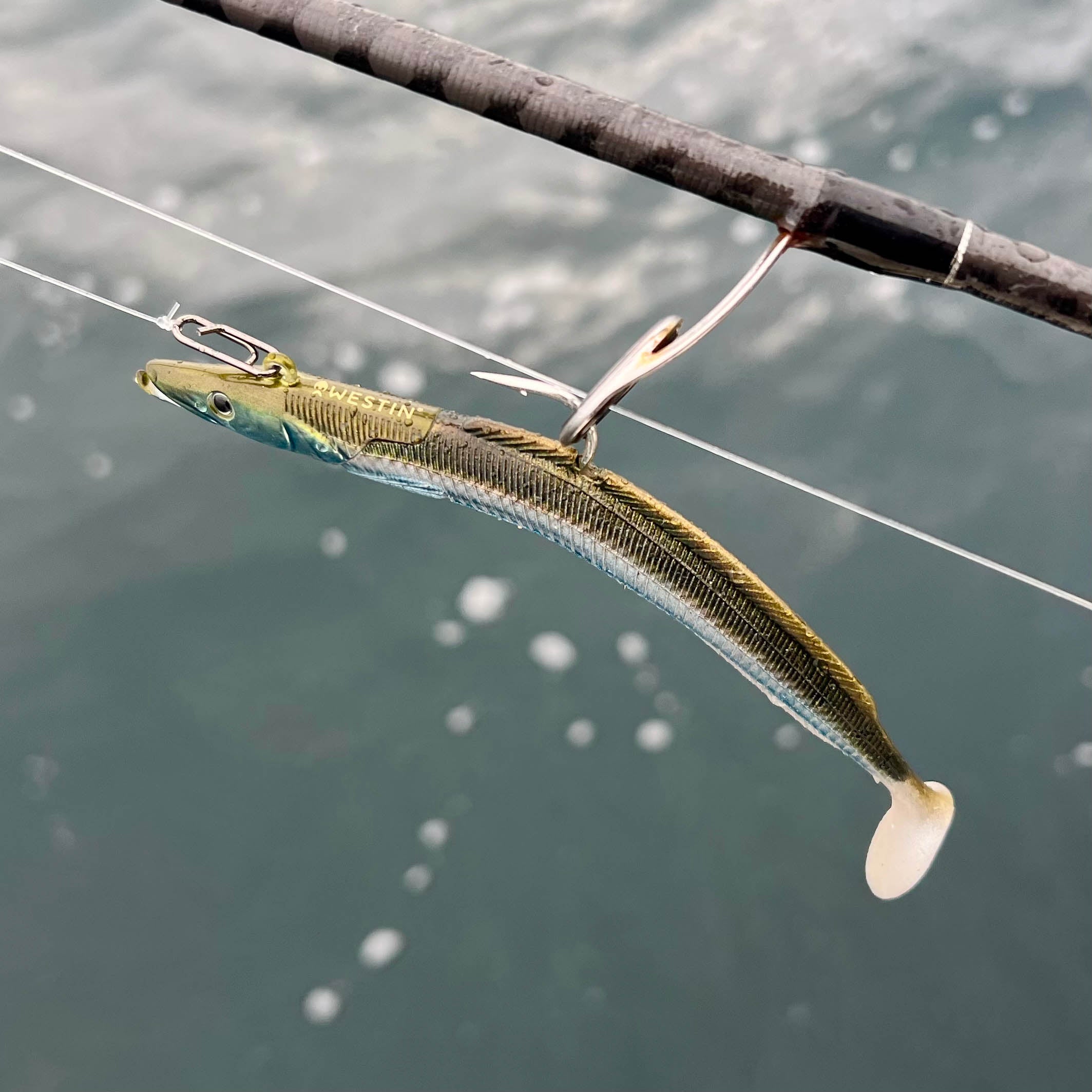 Wild Seas Quick-Change Stainless Clip used on a soft plastic lure